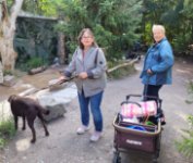 ein Bild aus dem Album